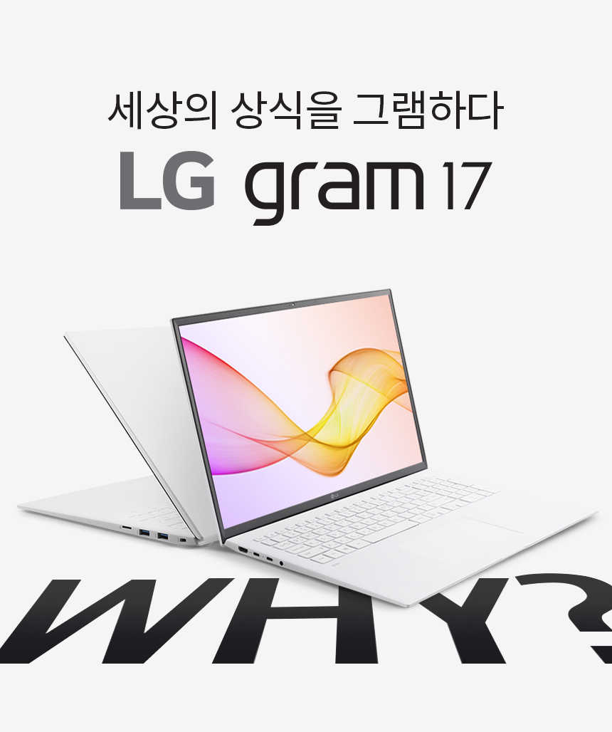 LG gram 17 17ZD90P-GX50K [기본 제품] / 디바이스마트